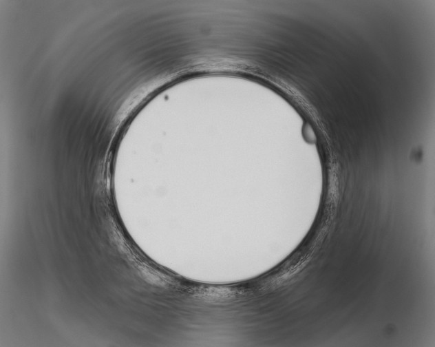 X0000115110885200912081319