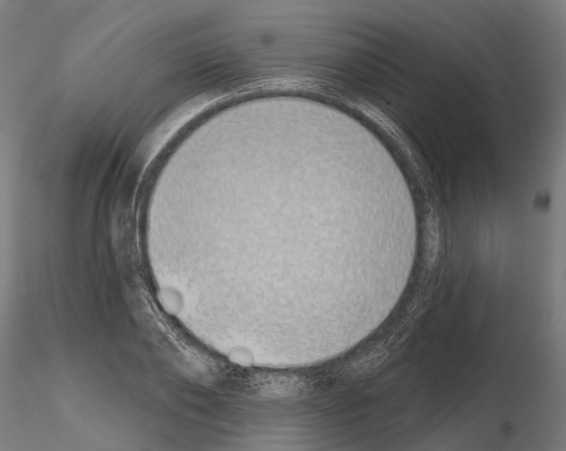 X0000115110886200912081319