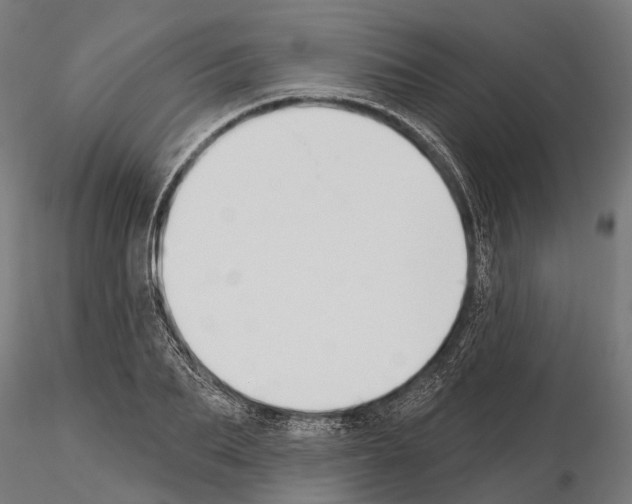 X0000115110887200912081319