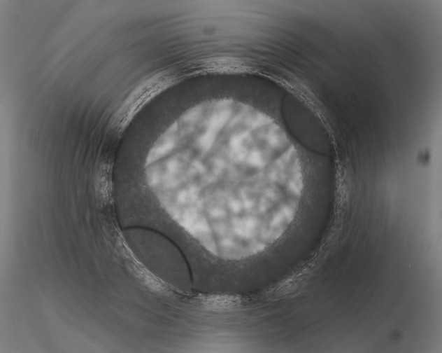 X0000115110889200912081319