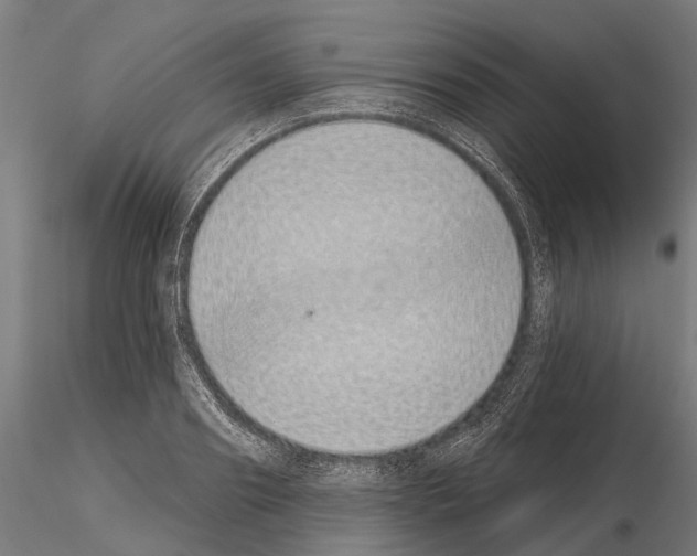 X0000115110890200912081319