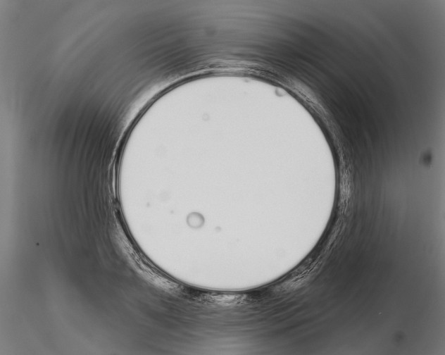 X0000115110891200912081319