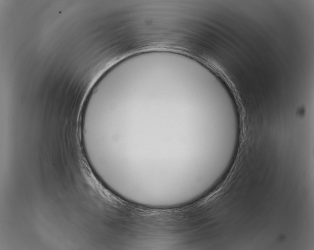 X0000115110892200912081319