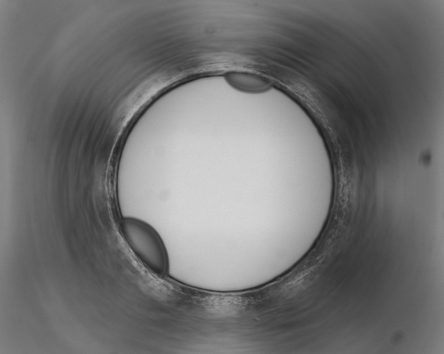 X0000115110893200912081319