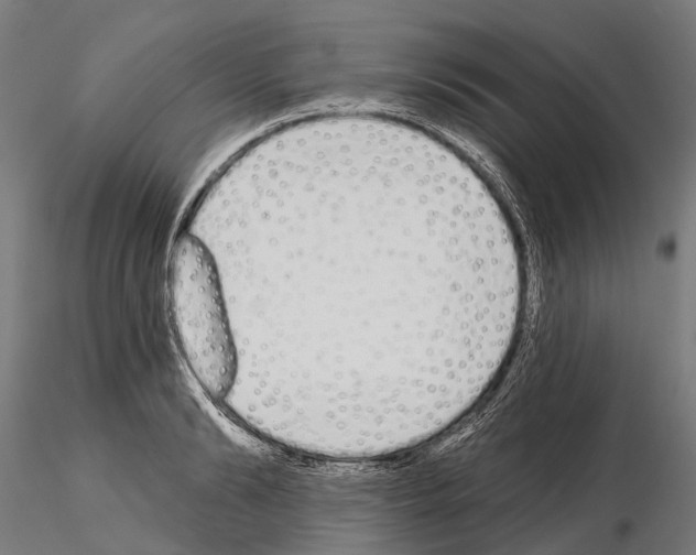 X0000115110894200912081319