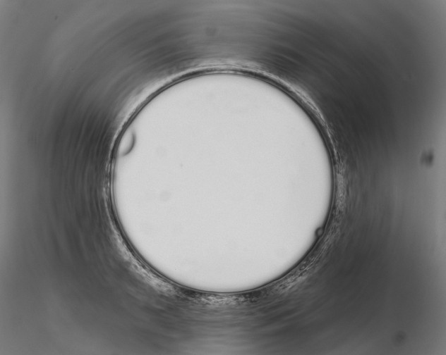 X0000115110895200912081319