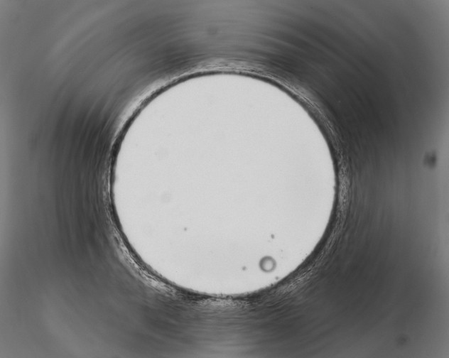 X0000115110896200912081319