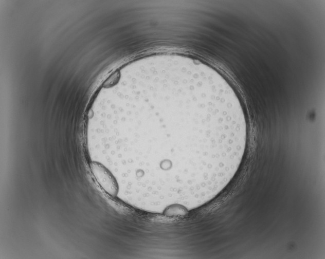 X0000115110898200912081319