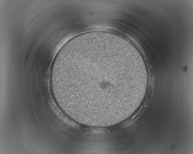 X0000115110899200912081319