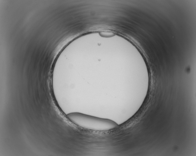 X0000115110901200912081319