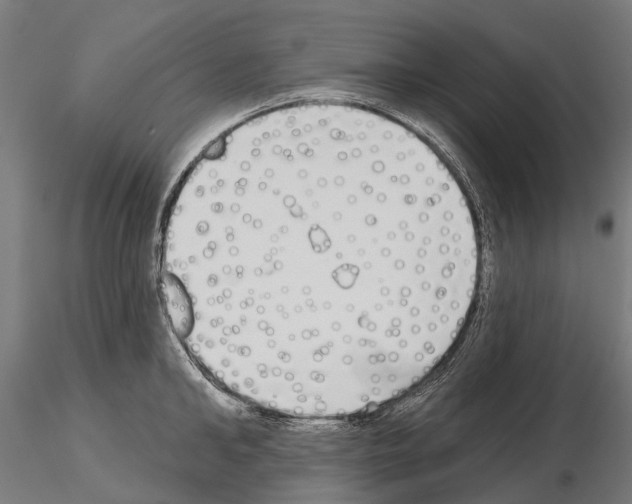 X0000115110902200912081319