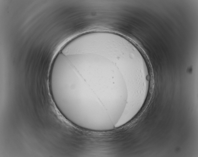 X0000115110904200912081319