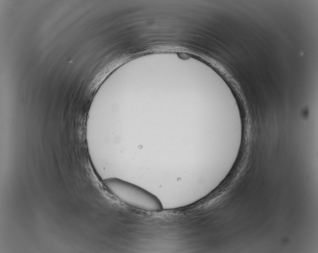 X0000115110905200912081318