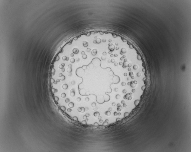 X0000115110906200912081318