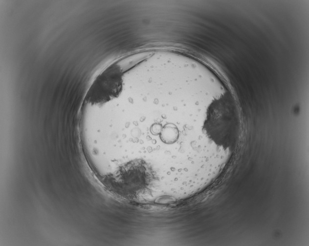 X0000115110907200912081318