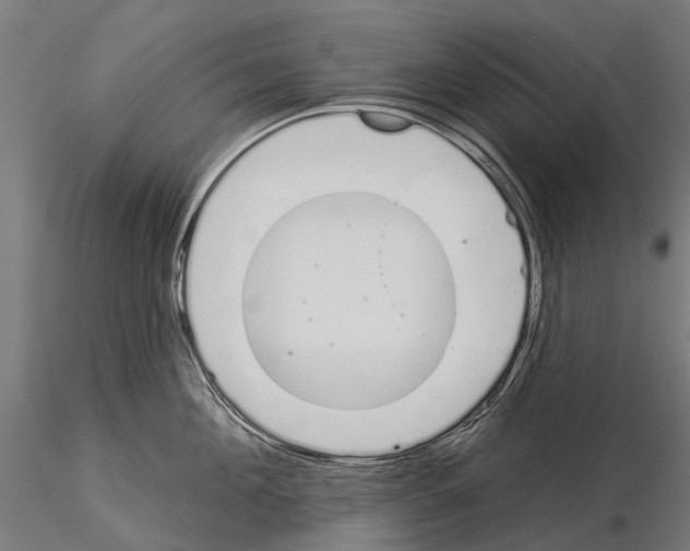 X0000115110908200912081318