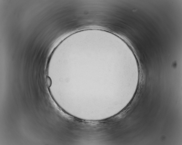 X0000115110910200912081318