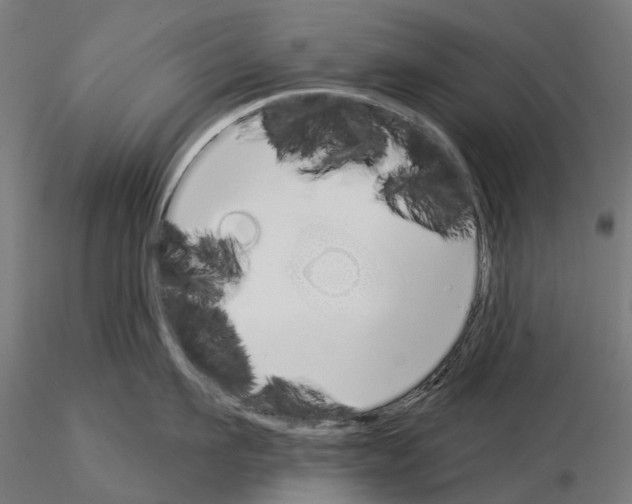 X0000115110911200912081318