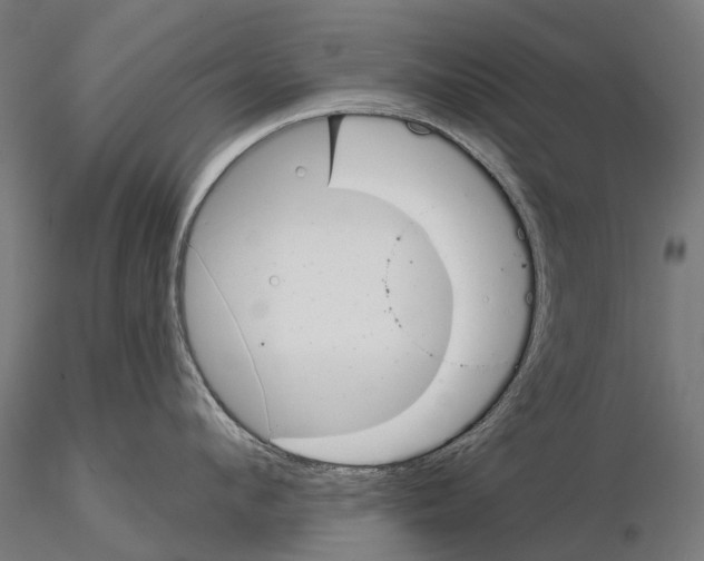 X0000115110912200912081318