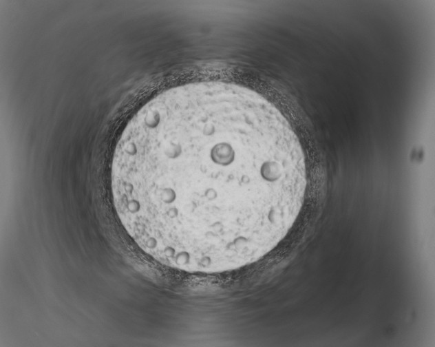 X0000115110913200912081318