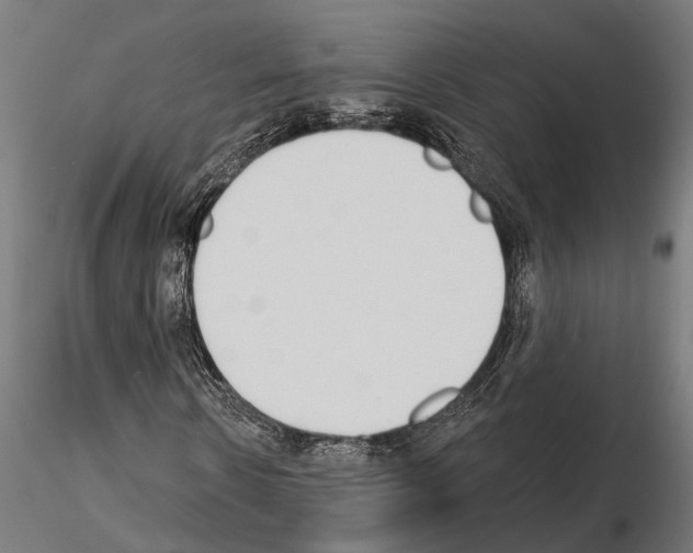 X0000115110914200912081318