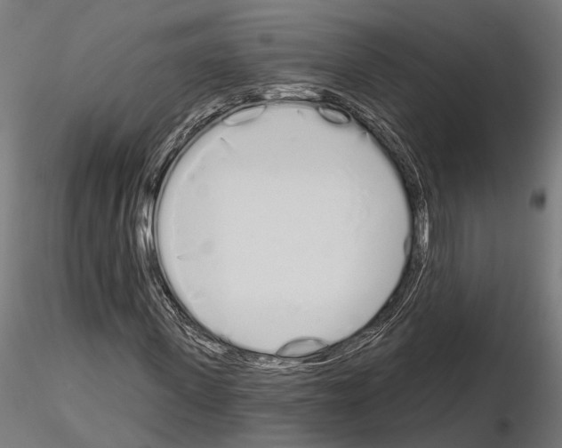 X0000115110915200912081318