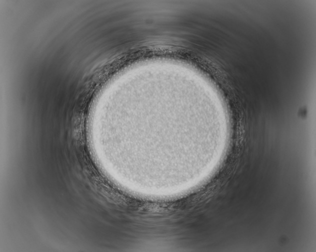 X0000115110917200912081318