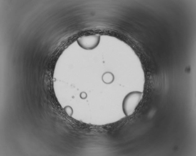 X0000115110918200912081318