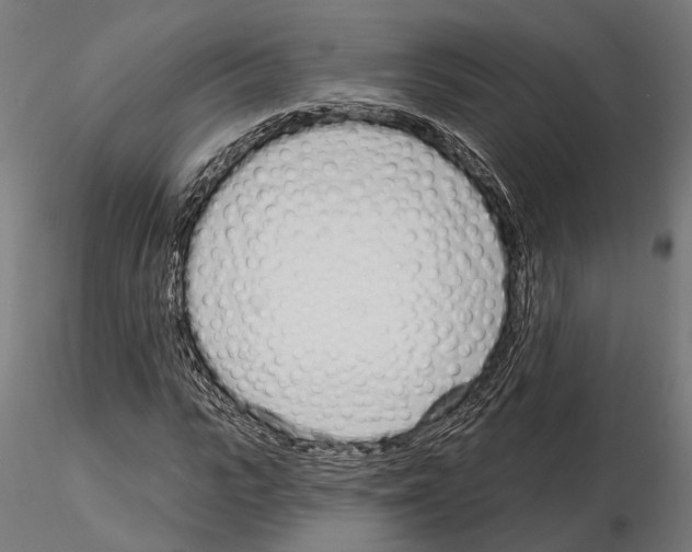 X0000115110919200912081318