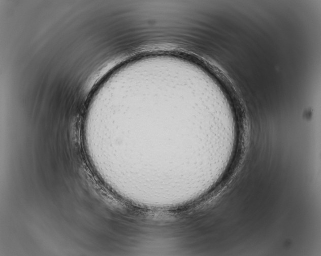 X0000115110921200912081318