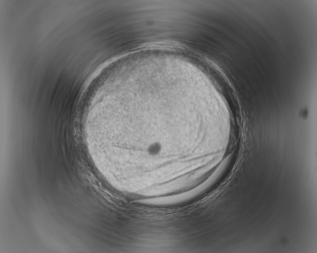 X0000115110923200912081318