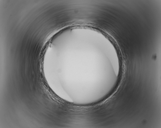 X0000115110925200912081318