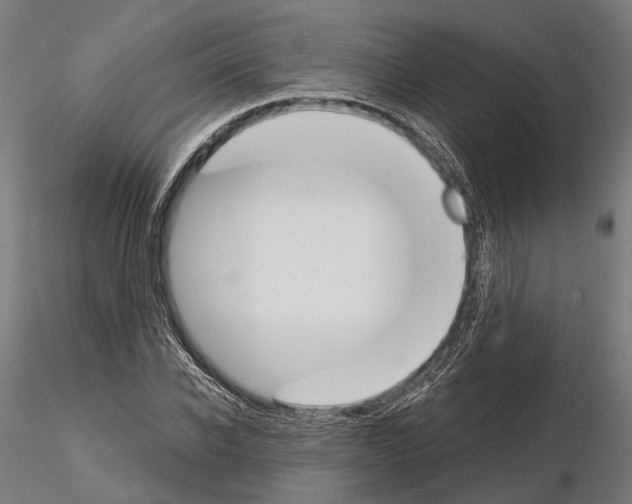 X0000115110926200912081318