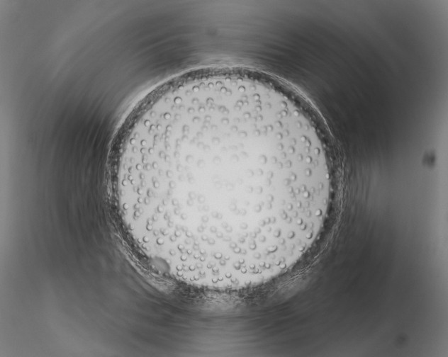 X0000115110927200912081318