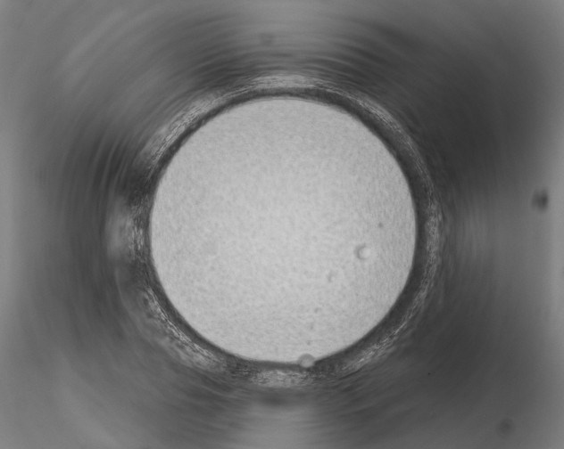 X0000115110929200912081318