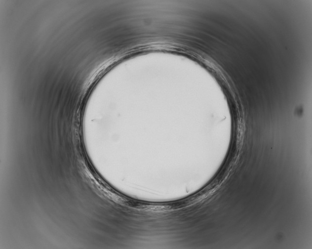 X0000115110930200912081318