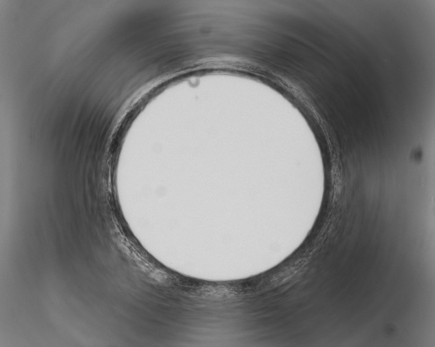 X0000115110931200912081318