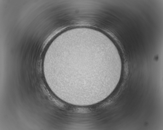 X0000115110933200912081318