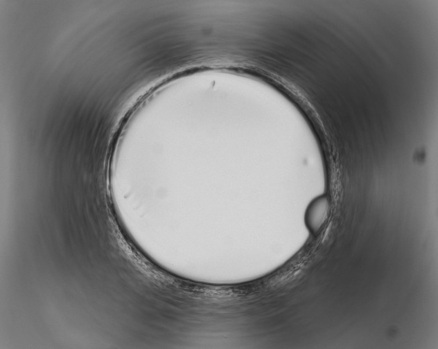 X0000115110935200912081318