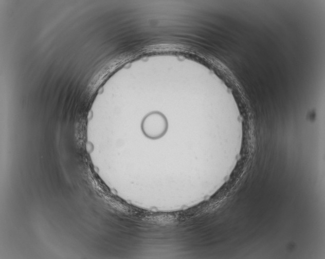 X0000115110937200912081318