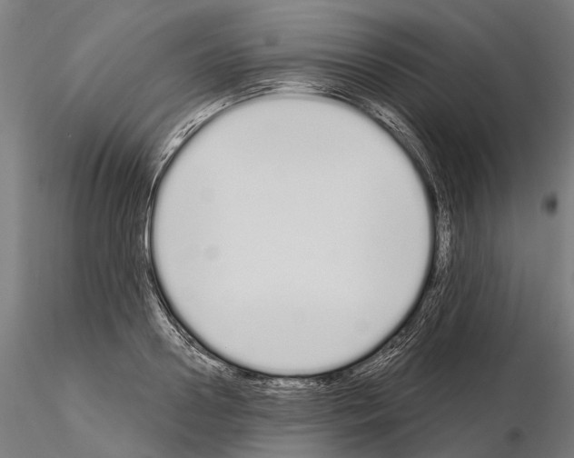 X0000115110938200912081318