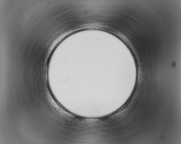 X0000115110939200912081318