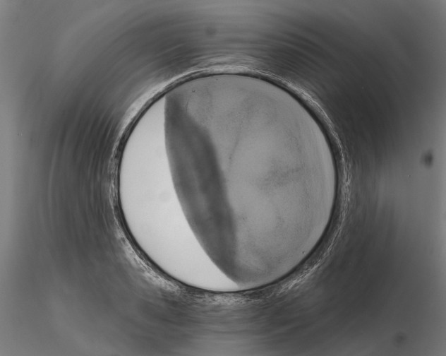 X0000115110941200912081318