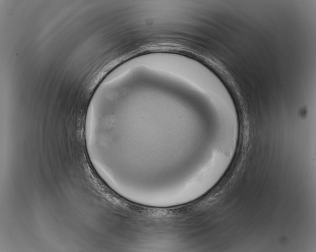 X0000115110945200912081318