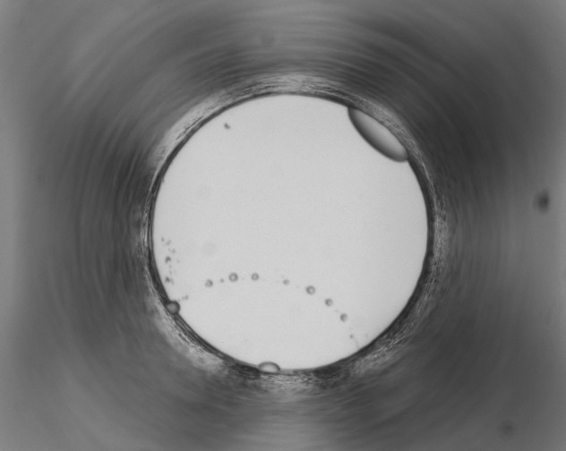 X0000115110946200912081318