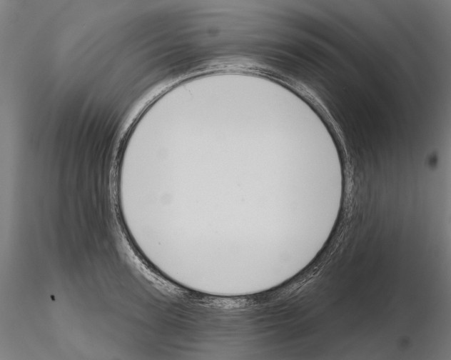 X0000115110947200912081318