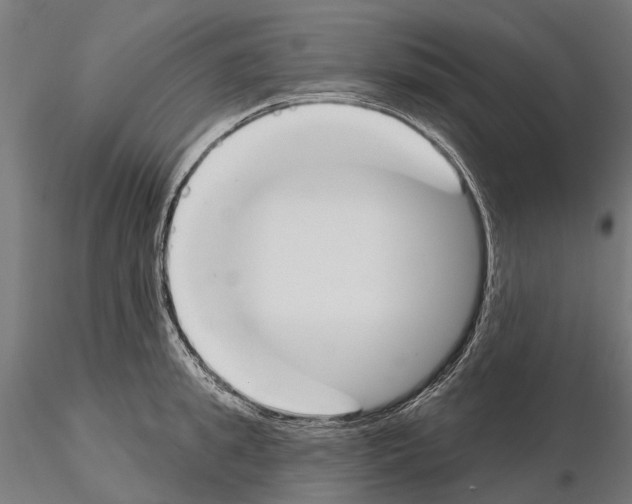 X0000115110949200912081318