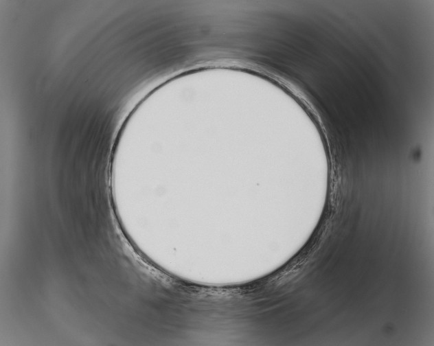 X0000115110951200912081318