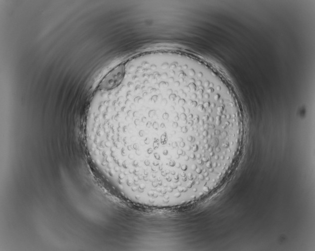 X0000115110953200912081318