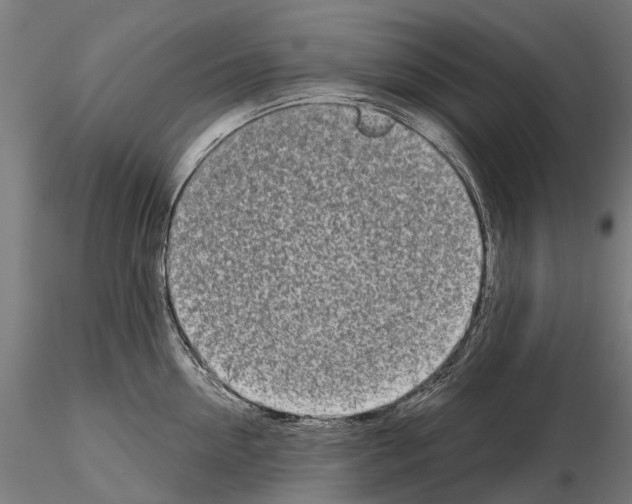 X0000115110954200912081318